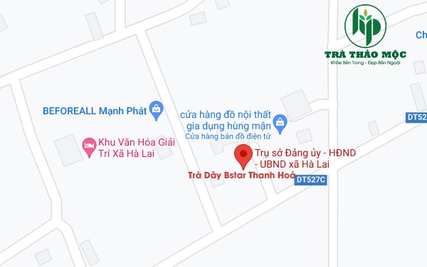 Trà Dây Thanh Hoá