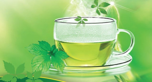 trà giảo cổ lam